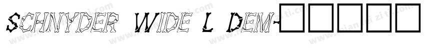 Schnyder Wide L Dem字体转换